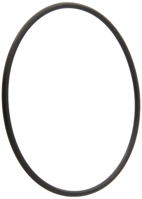 SHURFLO 9417809 10PK O-Ring KIT