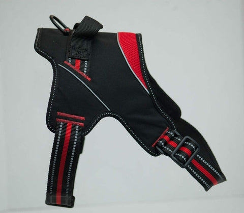 Doggy Tales Patented Hart Harness (50, Red)