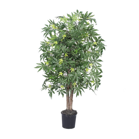 Vickerman TBU1840-06 Japanese Maple Bush, Green, 4'