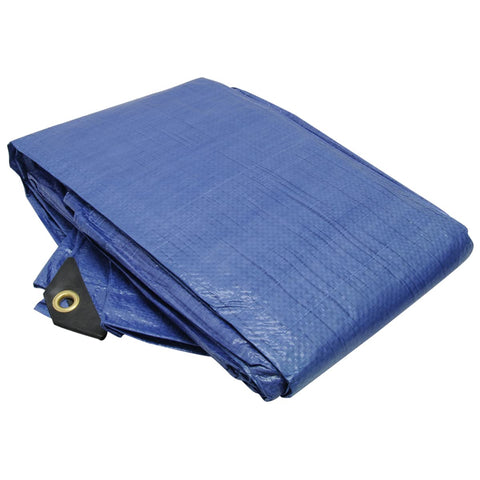 Roadpro RPTP-1012 10' X 12' Polyethylene Tarp with Reinforced Corners Multi-Use Canvas Cargo Cover 4-Mil 10 Feet X 12 Feet Rain Tarp, Blue