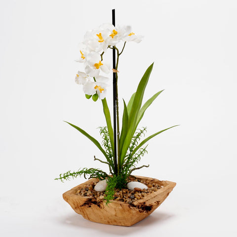 D&W Silks White Vanda Orchid in Square Wooden Bowl