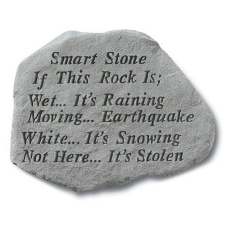 Kay Berry Smart Stone If This Rock is Wet It's Raining