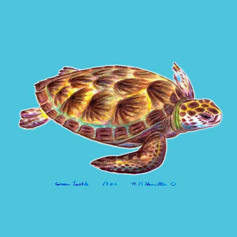 Betsy Drake CT044 Sea Turtle Coaster, Set of 4