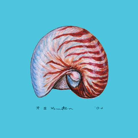 Betsy Drake CT118 Nautilus Coaster, Set of 4