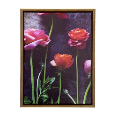 Ranunculus II' - 19" Wx25 H Photo by Veronica Olson, Printed on Canvas, Framed