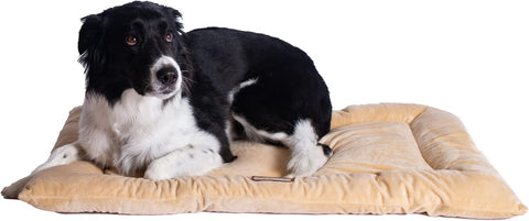 Armarkat Pet Bed Mat 35-Inch by 22-Inch by 3-Inch M01-Large, Beige