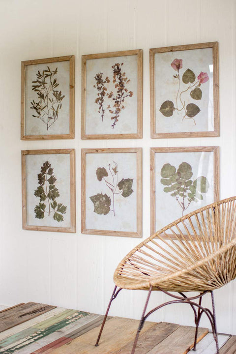 Kalalou CHH1133 Prints Under Glass, Clear