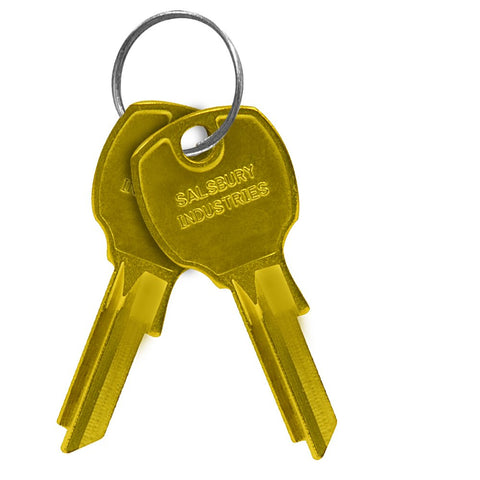 Key Blanks - for Standard Locks of Cluster Box Units - Box of (50)