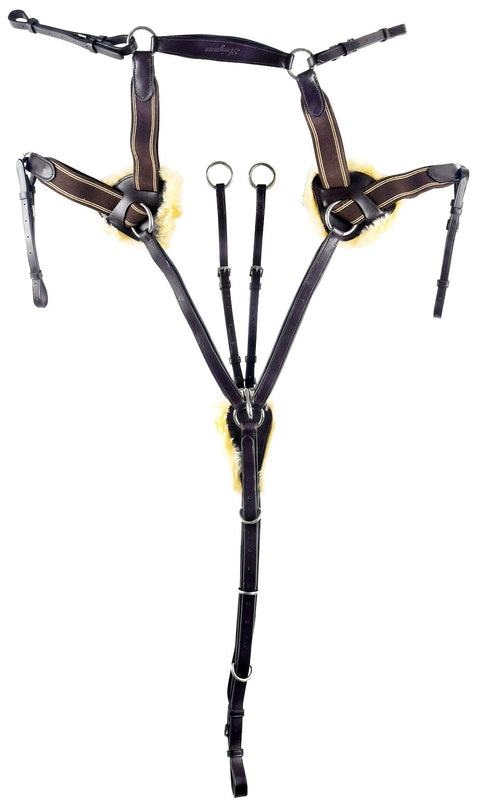 Avignon Five Point Breastplate (Pony, Havana)