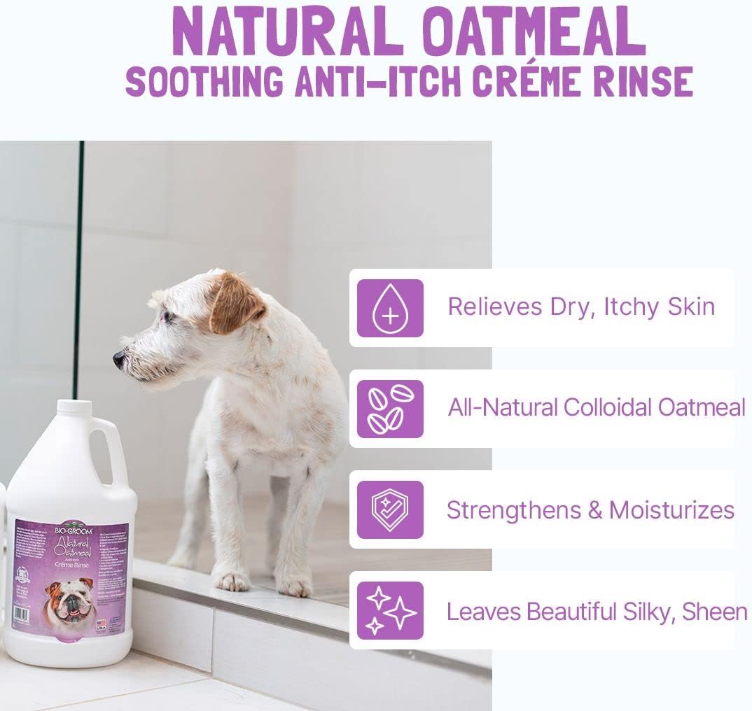 Bio-Groom Natural Oatmeal Anti-Itch Pet Creme Rinse, 1-Gallon