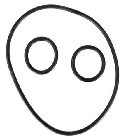 Hayward PSXVZ2A Key and Cover O-Ring Replacement Kit for Hayward I_PWRPSV PSV Series Valve