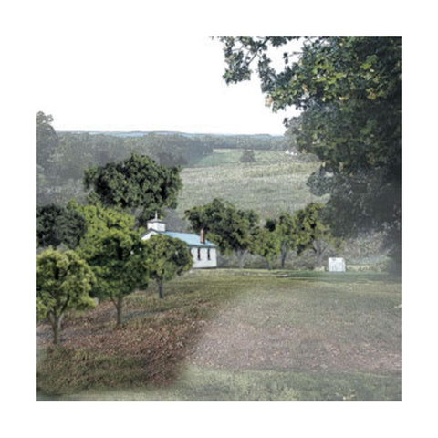 Value Trees Green Mix .75-2" (38) WOOTR1570