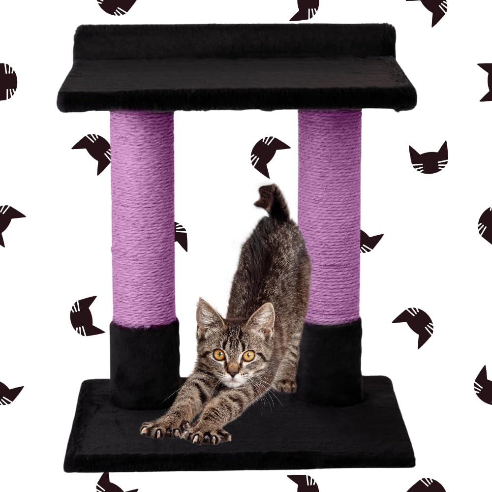 24 Inch Classic Comfort for Indoor Modern Premium Cats and Kittens Scratcher Larger Base for Better Stability, (Black, Purple)
