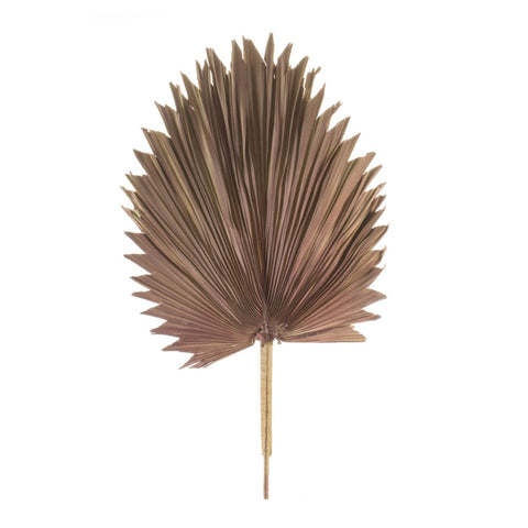 Melrose Modern Home Decorative Fan Palm Leaf (Set of 6) 42" H Natural Palm
