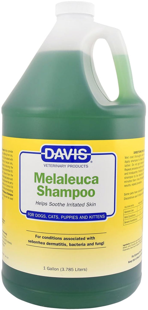 Davis Melaleuca Shampoo, Gallon