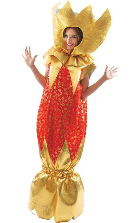 Orion Costumes Christmas Cracker Adult Costume, Standard