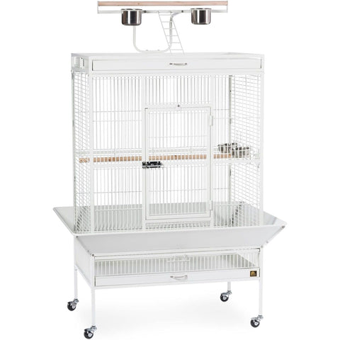Prevue Pet Products Wrought Iron Select Bird Cage 3154C, Chalk White, 36-Inch by 24-Inch by 66-Inch
