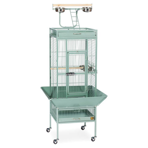 Prevue Hendryx Pet Products Wrought Iron Select Cage - Sage, 18'' x 18'' x 57''