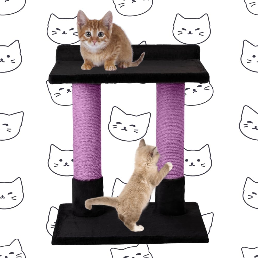 24 Inch Classic Comfort for Indoor Modern Premium Cats and Kittens Scratcher Larger Base for Better Stability, (Black, Purple)