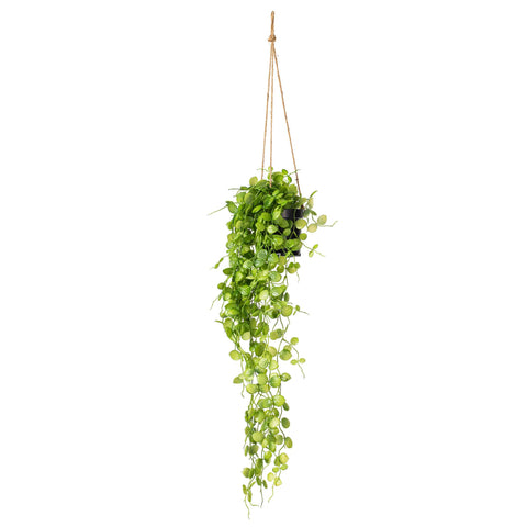 Vickerman Everyday 29" Indoor Green Mini Leaf Ivy - Fixed in Hanging Pot - Decoration of Durable Polyester Plant in Pot - Maintenance Free - Reliable and Durable