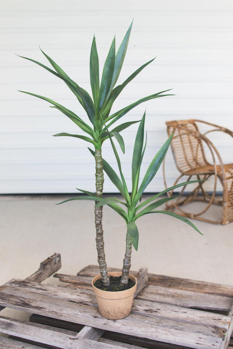 KALALOU CYF1228 Artificial HENEKEN Plant with Painted Plastic Pot