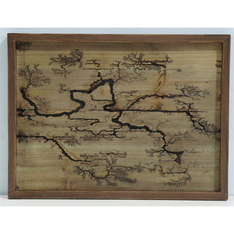Rectangle Lichtenburg Wood Burning Wall Art (Brown)