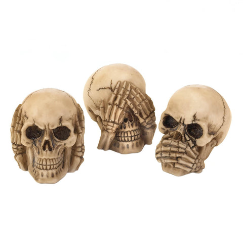 Zingz & Thingz Replica Human Skull Statue Home Décor NO Evil Skulls