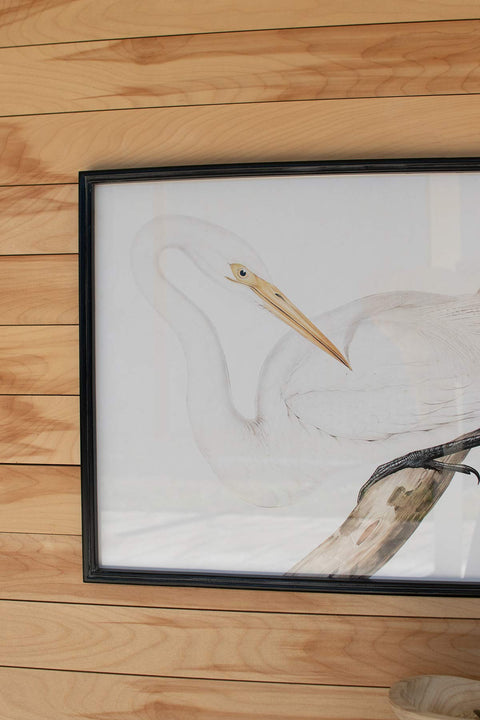 Set Of Two Framed Heron Prints Under Glass