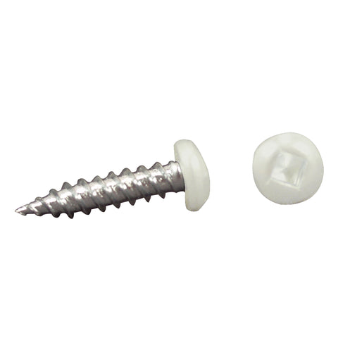 AP Products 012-PSQ50 W 8 X 1-1/4 White Pan Head Square Recess Screw - Pack of 50