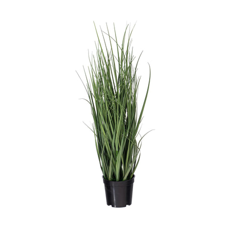 Vickerman 24" Everyday Artificial Green Potted Ryegrass with Black Plastic Pot - Faux Grass Plant Decor - Home Or Office Indoor Greenery Accent - Maintenance Free