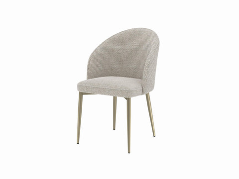 Acme Cora Side Chair (Set-2) in Champange Fabric