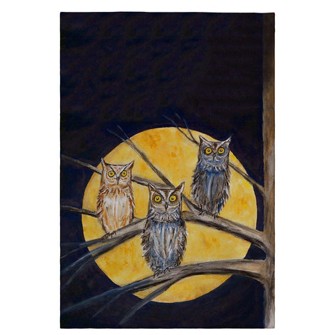 Betsy Drake GT248 Night Owls Guest Towel - 20 x 20 in.
