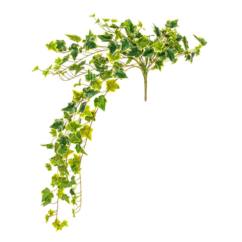 Vickerman Everyday 34" Artificial Varigated Ivy Hanging Bush - Faux Indoor Hanging Plant Bush - Greenery for Home Or Office Decor - Maintenance Free