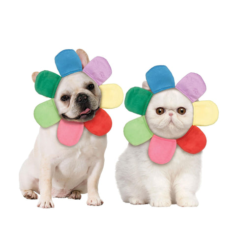 Rainbow Flower Petal Pet Hood