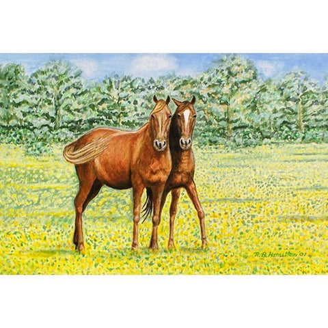 Betsy Drake DM057 Garden Pets Horses Door Mat, 18" x 26"