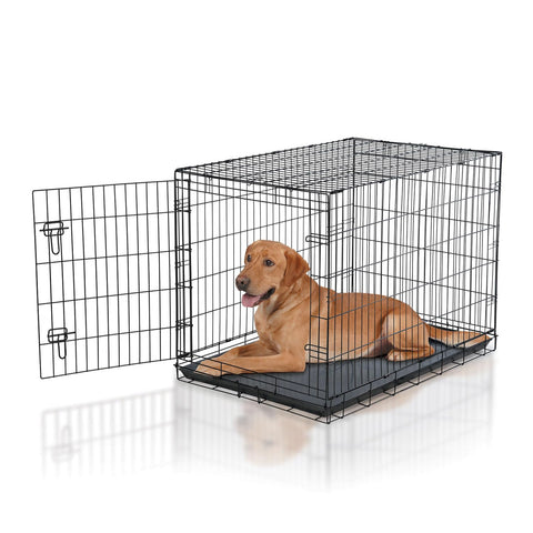 Pro Select Large Dog Crate, Black, Easy to Store, Clean, and Use