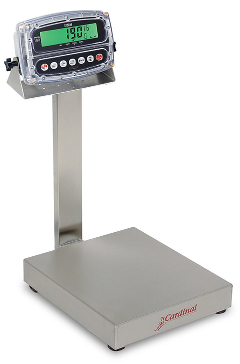 Bench Scale, Electronic, 12" x 10", 30 Lb Capacity, Stainless Steel, 190 Indicator