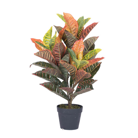 Vickerman 30" Real Touch Croton Plant in Pot - Artificial Plants for Indoor Use - Fake Plants - Easy to Care for- Low Maintenace - Office or Home Decor