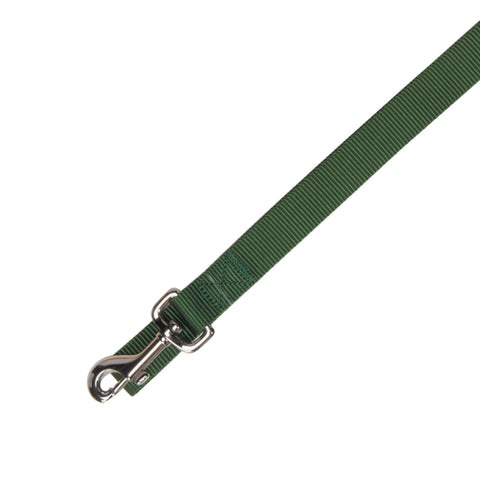 Zack & Zoey Basic Nylon Dog Leash, 4-Feet x 5/8-Inch Lead, Green