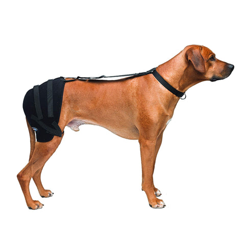Caldera International Pet Therapy Hip Wrap with Gel, Large, Black (PET303)