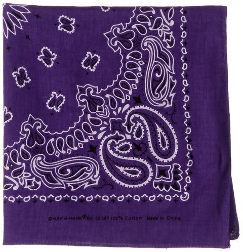 Carolina HAV-A-Hank Paisley Bandanna 22"X22", Purple