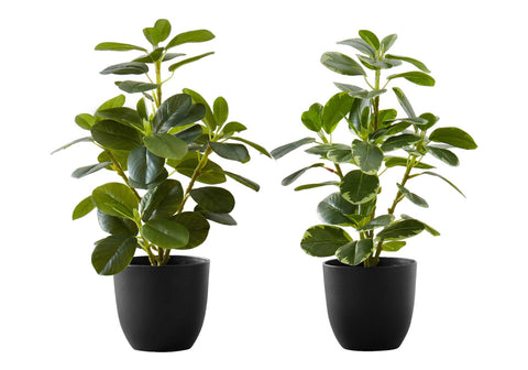 Monarch Specialties I 9585 Artificial Plant, 14" Tall, Ficus, Indoor, Faux, Fake, Table, Greenery, Potted, Set of 2, Decorative, Green Leaves, Black Pots