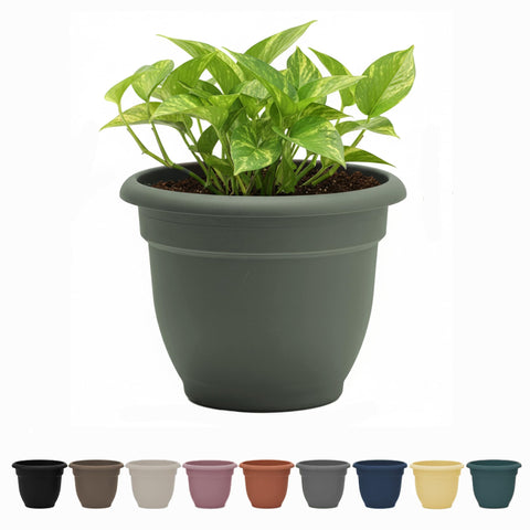 Bloem Ariana 6" Basil Round Self-Watering Resin Planter Pot - Rolled Rim Indoor and Outdoor Gardening Planter