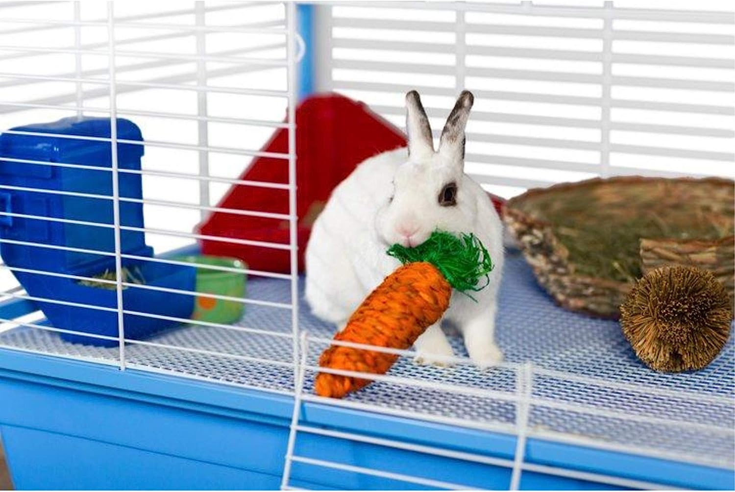 Prevue Pet Grassy Nibblers Carrot - 1082