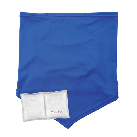 Ergodyne Chill Its 6482 Cooling Neck Gaiter Bandana with Pocket for Ice or 6283 Phase Change Cool Pack (Included), UPF 50+ Sun Protection,Blue, Large/X-Large