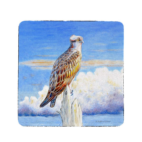 Betsy Drake CT1109 Osprey Storm Coaster - Set of 4