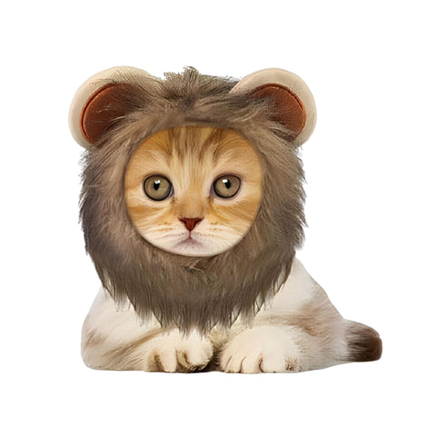 Lion Pet Hood