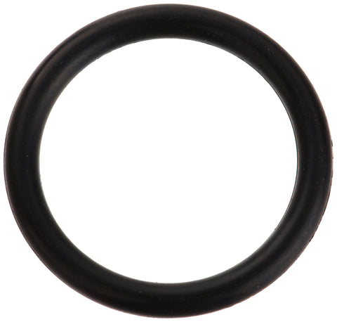 Zodiac R0487100 2-116 Valve Shaft O-Ring Replacement for Select Zodiac Jandy Diverter and Valves