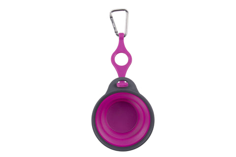Dexas Pets Collapsible Travel Pet Cup with Bottle Holder and Carabiner, Fuchsia