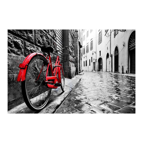 Yosemite Home Decor 'The Red Bike' Glass Photographic Print in Multi-Color